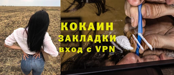 метадон Алексин