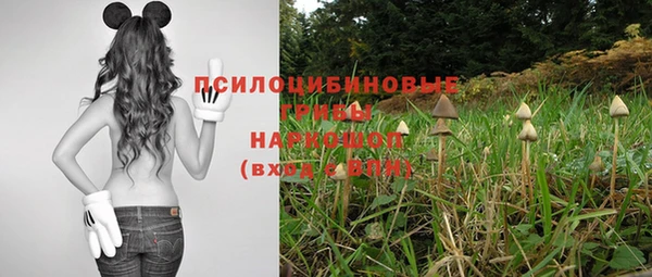 a pvp Алексеевка