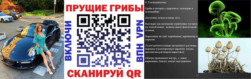 Галлюциногенные грибы GOLDEN TEACHER  нарко площадка формула  Петровск-Забайкальский  где можно купить  